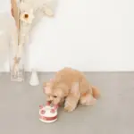 ホールケーキぬいぐるみ