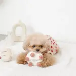 ホールケーキぬいぐるみ