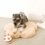 ホールケーキぬいぐるみ