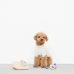 チーズとねずみさん