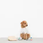 チーズとねずみさん