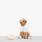 チーズとねずみさん