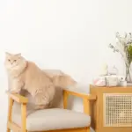 ノーズワークふんわりハートのおもちゃ