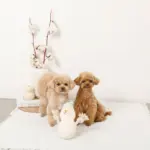 デンタルロープスノーマンぬいぐるみ