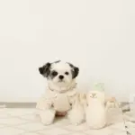 デンタルロープスノーマンぬいぐるみ