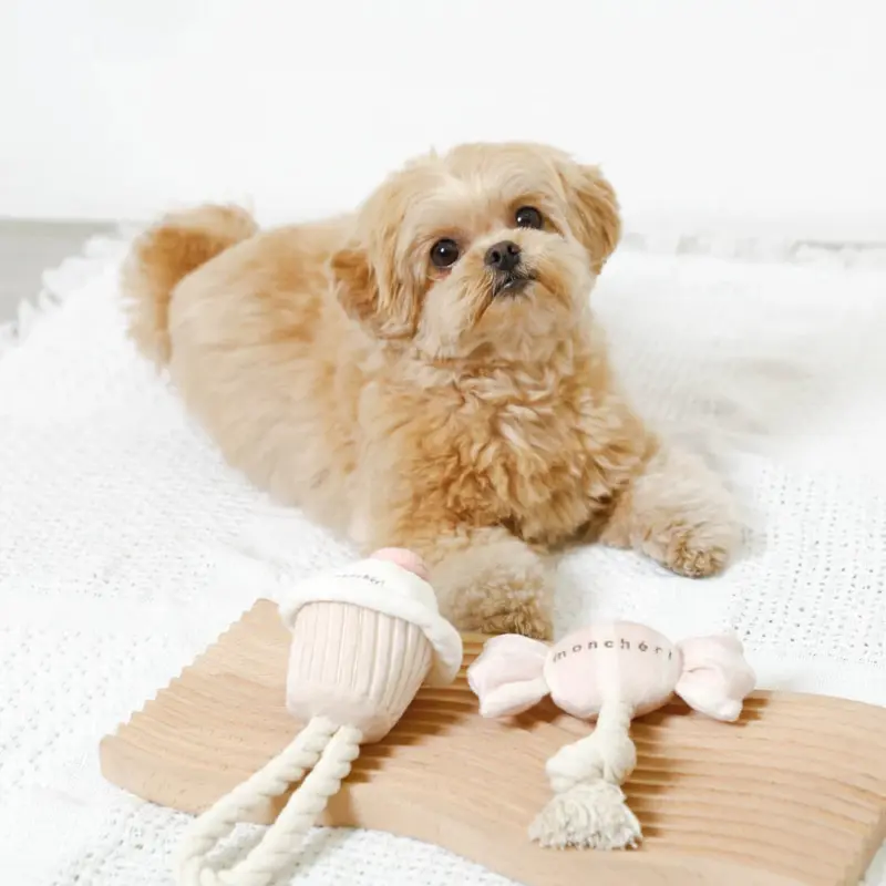 デンタルロープ鳴き笛入りマカロンカップケーキ