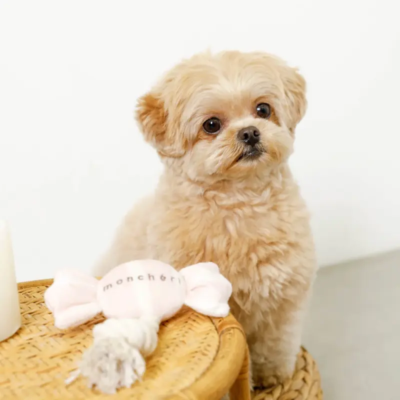 デンタルロープキャンディ