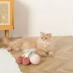 デンタルメッシュノーズワークストロベリー