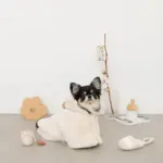 スリッパロープトイ