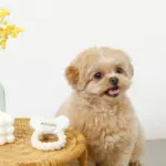 デンタルロープノーズワークおしゃぶりおもちゃ