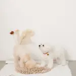 ノーズワークバイカラーマット