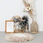 ノーズワークバイカラーマット