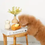 クロワッサンとバターのノーズワークぬいぐるみ