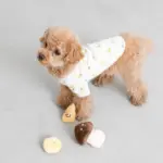 きのこのノーズワークおもちゃ