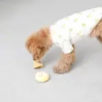 きのこのノーズワークおもちゃ