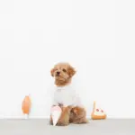 パーティーセットのおもちゃ