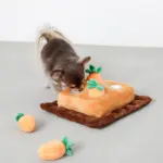 ノーズワーク4つのにんじん畑のおもちゃ
