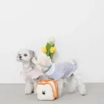 ノーズワーク食パン3SET