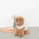 シリコンカップケーキ