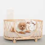 ネックリボンくまさん