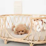 ネックリボンくまさん