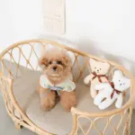 ネックリボンくまさん