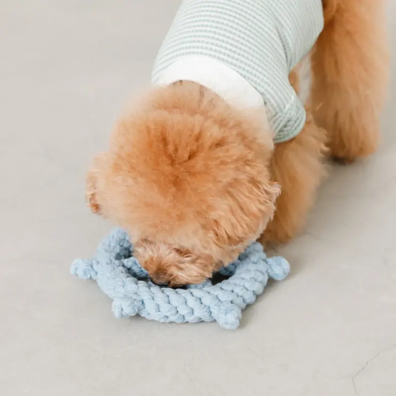 マリンロープおもちゃ