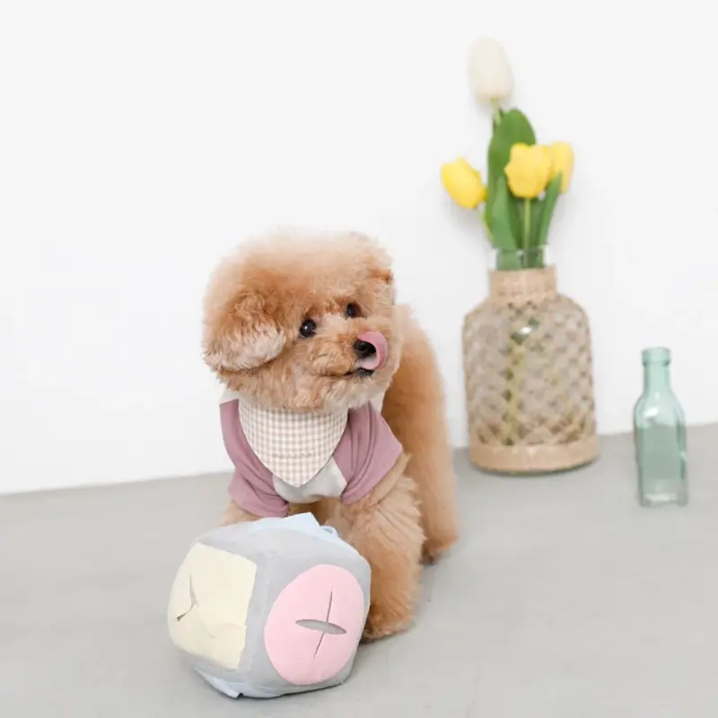 ノーズワークサイコロボール