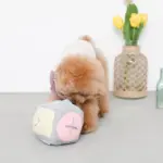 ノーズワークサイコロボール