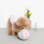 ノーズワークサイコロボール