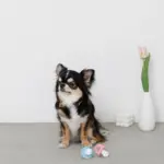 手編みのおしゃぶりおもちゃ