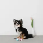 手編みのおしゃぶりおもちゃ