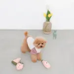 ピンクのイチゴのおもちゃ