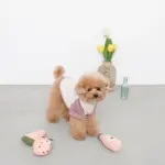 ピンクのイチゴのおもちゃ