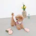 ピンクのスイカのおもちゃ