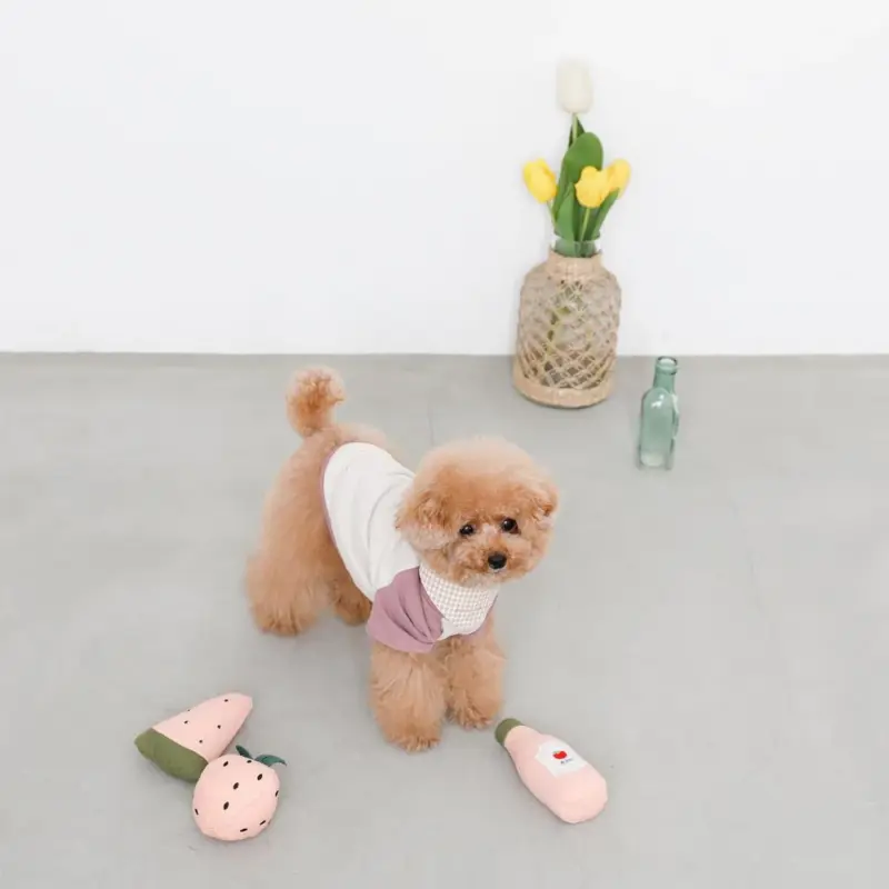 ピンクのトマトソースのおもちゃ