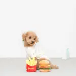 ハンバーガーとポテトのおもちゃ