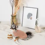 ノーズワークホットケーキ