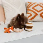 ノーズワークホットケーキ