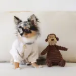 コーデュロイのサルさん