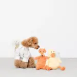 コーデュロイのアヒルさん