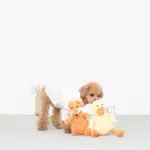 コーデュロイのきつねさん