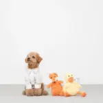 コーデュロイのきつねさん