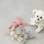 コーデュロイのうさぎさん