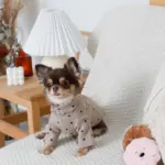 ドーナツおもちゃ