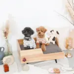 ドーナツおもちゃ