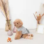 ちいさなキツネさん