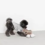 3匹のねずみさんのおもちゃ おうち付