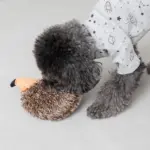 はりねずみさん