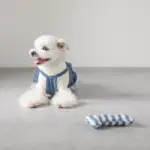 ギンガムチェックボーン